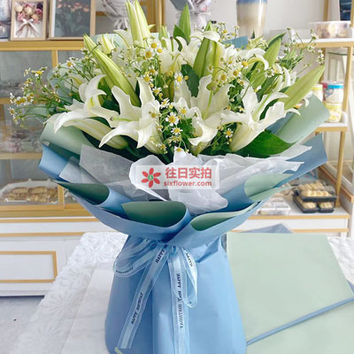 延边8支白色多头百合洋甘菊，互倾的思念