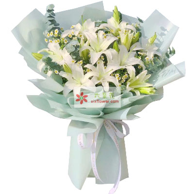延边6支白色多头百合，温馨的祝福